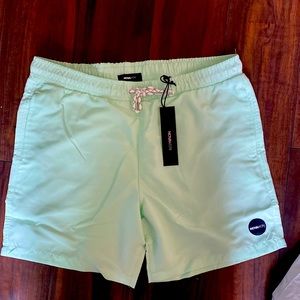 Nova Men Mint Swim Trunks